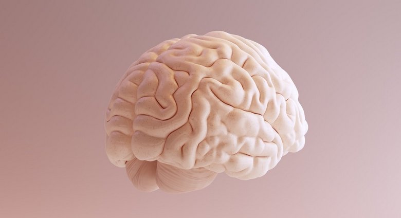 Beyni Güçlendiren Besinler